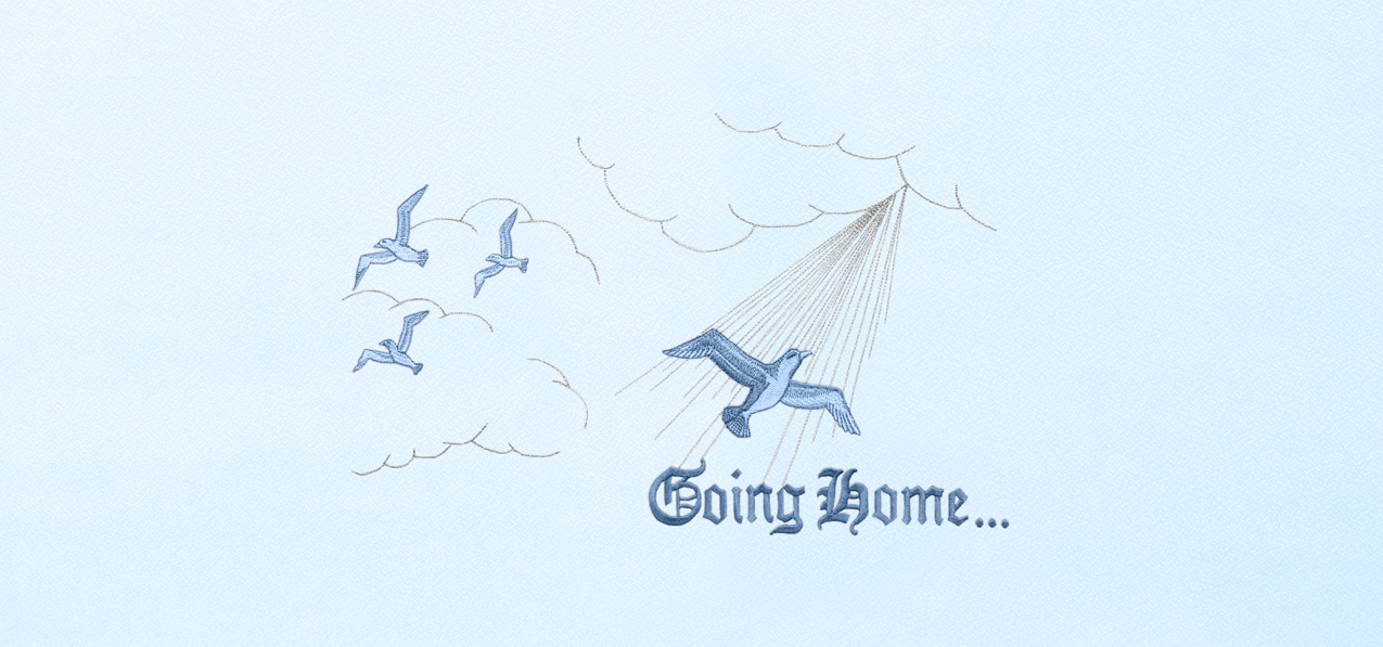 Going Home Blue Blue Faux